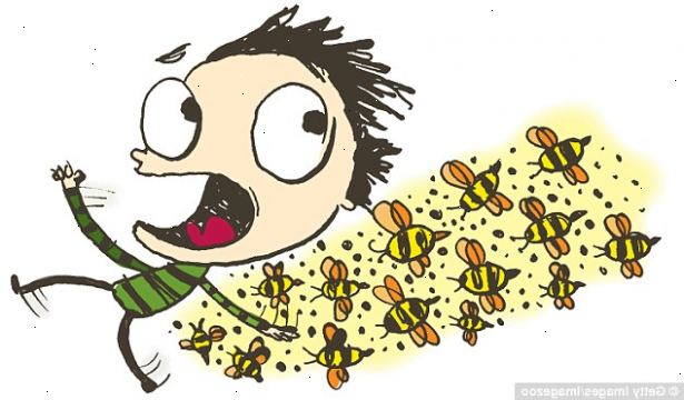 Hur man botar insektsstick. Bestäm om du blev stucken av ett bi eller en geting.