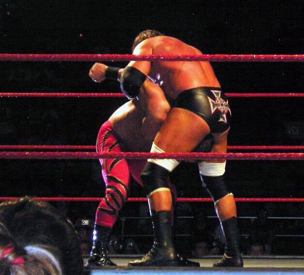 Hur man utför en stamtavla som WWE stjärnan trippel H. Sparka din motståndare i magen eller något sätt göra dem till en böjd över position.