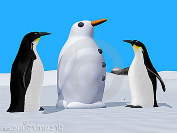 Hur man bygger en snö pingvin. Kontrollera snöförhållanden.