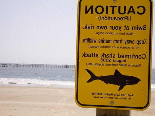 Hur kan man förhindra en haj attack. Håll dig borta från hajar vatten.