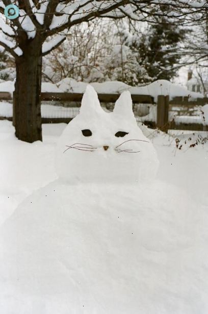 Hur man gör en snö katt. Bygg basen av katten först.