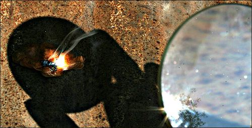 Hur man skapar eld med ett förstoringsglas. Få lite fnöske såsom tidningen.