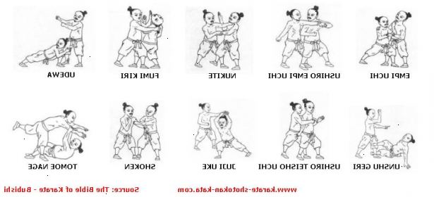 Hur förstå grundläggande karate. Det finns många stilar av karate,. E.