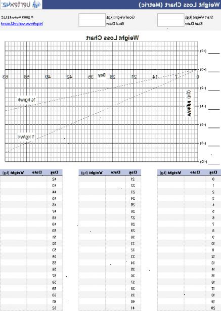 Hur man skapar ett diagram viktminskning. Öppna ett nytt Excel-dokument.