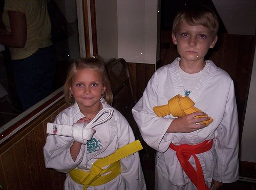 Så att avancera till en gul bälte i American Kenpo Karate. Känn din gult bälte trosbekännelse.