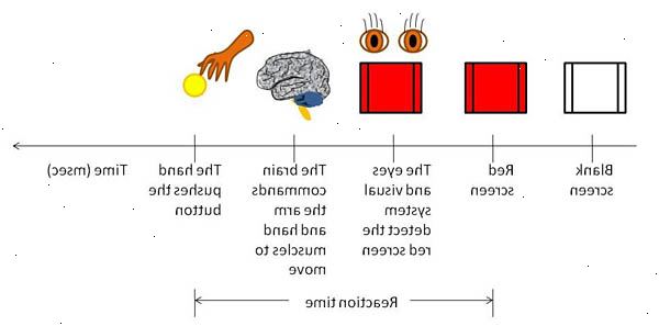 Hur kan man förbättra reaktionshastigheten. Håll dig i form, behålla dina kunskaper.
