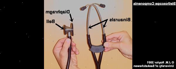Hur man använder ett stetoskop. Inspektera stetoskop för kvalitet och skador.